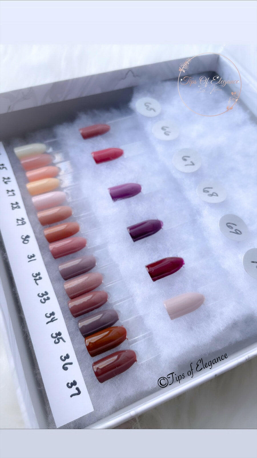 Cream Nude Collection | Custom Color | Solid Set Options - Tips of Elegance