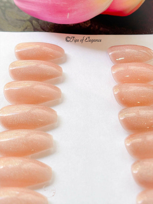 Nude Holo-Graphic | Ready to Ship Press-on Nails | 24 piece set - Tips of Elegance