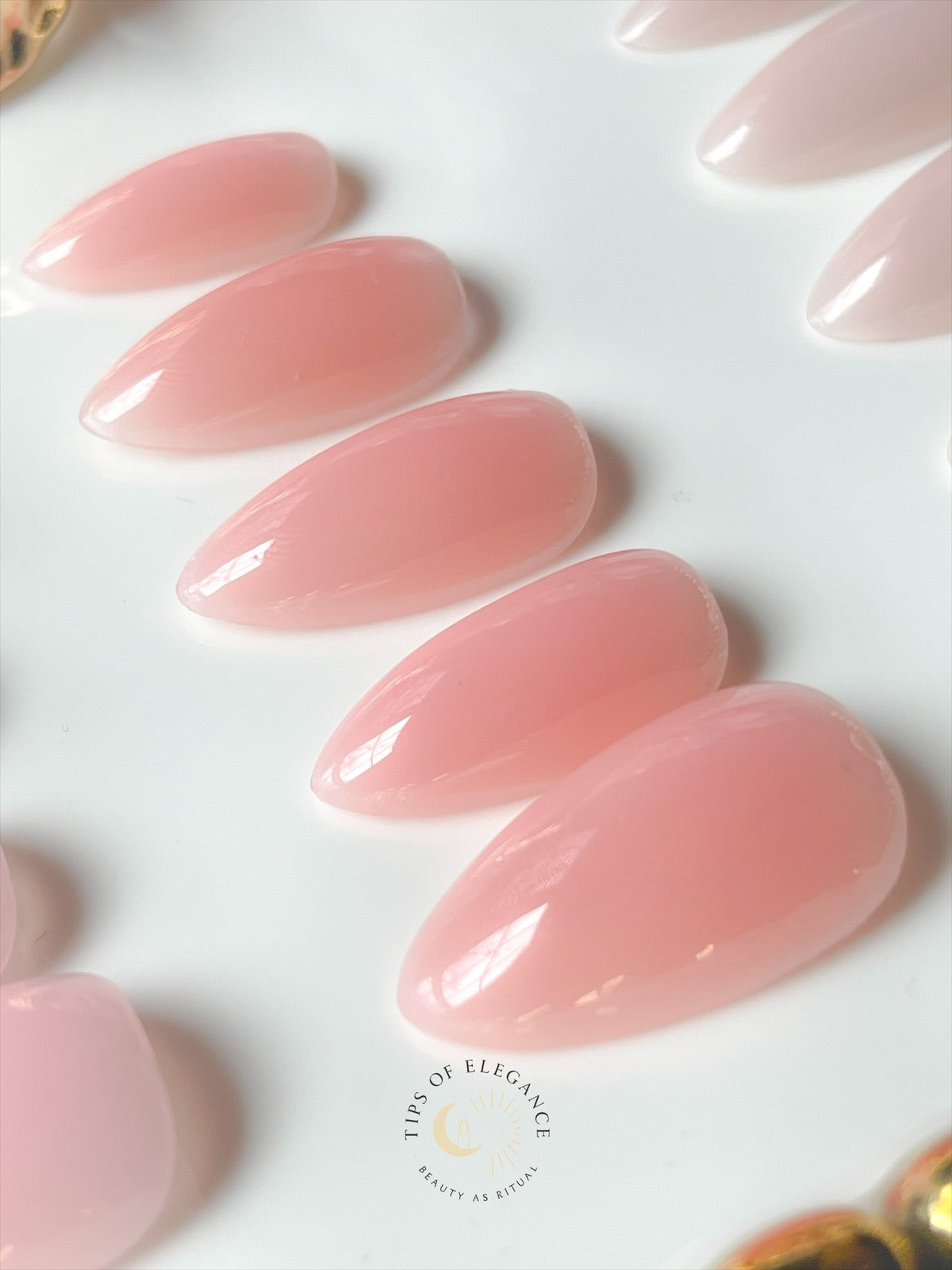 Rose Petal • Quiet Luxury Collection | Tips of Elegance