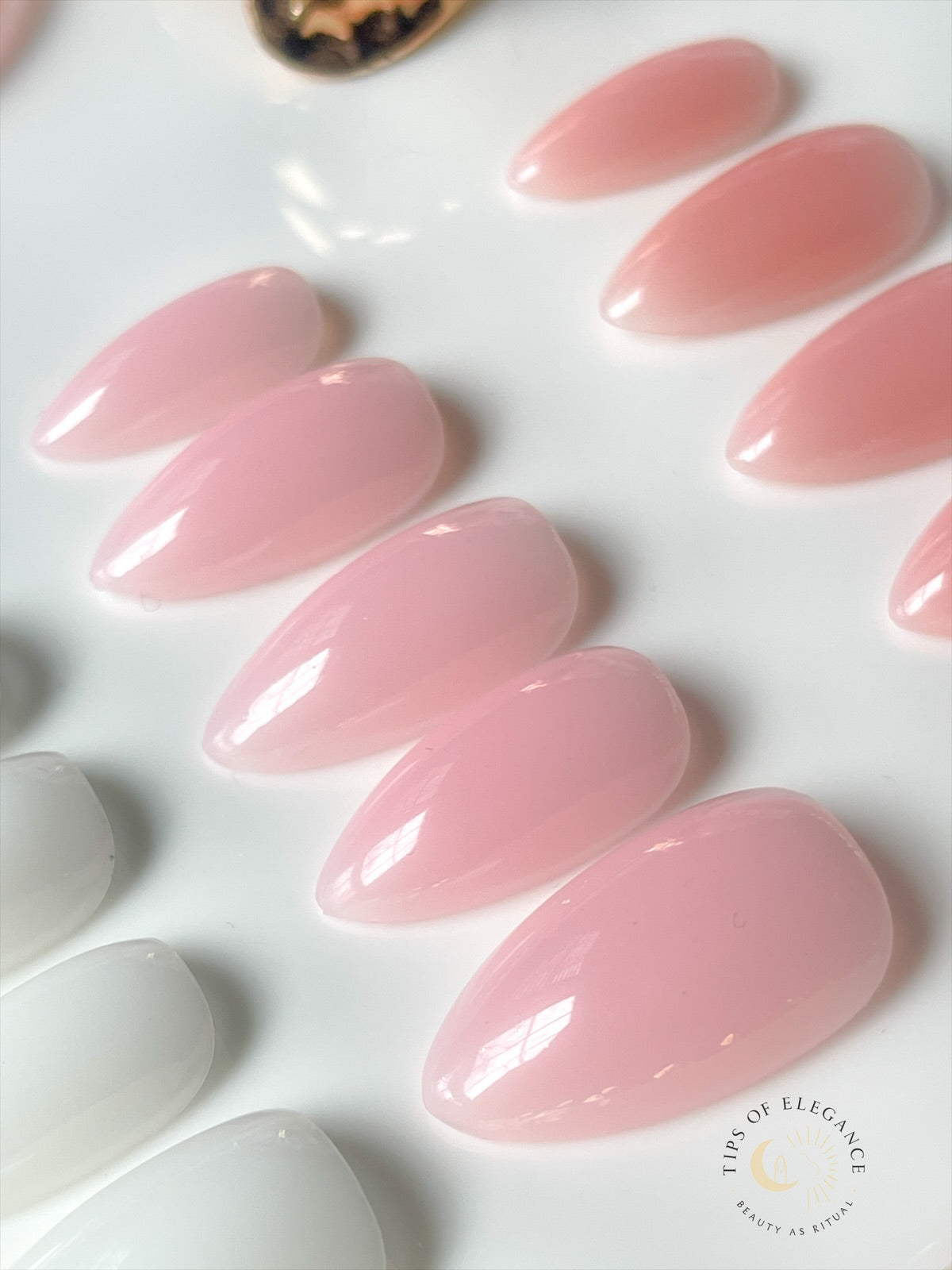 Porcelain Pink • Quiet Luxury Collection | Tips of Elegance